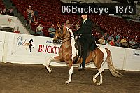 06buckeye_1875 thumbnail