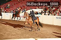 06buckeye_1880 thumbnail