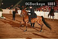 06buckeye_1881 thumbnail