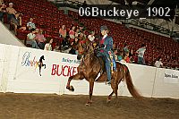 06buckeye_1902 thumbnail