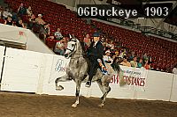 06buckeye_1903 thumbnail