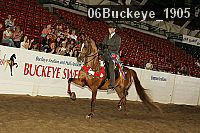 06buckeye_1905 thumbnail