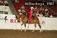 06buckeye_1907 thumbnail