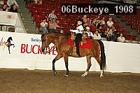 06buckeye_1908 thumbnail