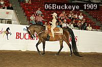 06buckeye_1909 thumbnail