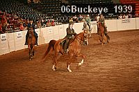 06buckeye_1939 thumbnail