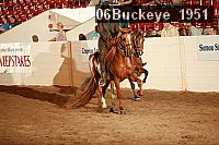 06buckeye_1951 thumbnail