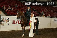 06buckeye_1953 thumbnail