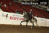 06buckeye_1958 thumbnail