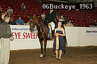 06buckeye_1963 thumbnail