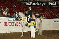 06buckeye_1964 thumbnail