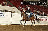 06buckeye_1965 thumbnail