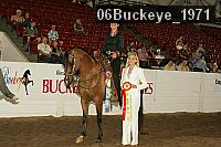 06buckeye_1971 thumbnail