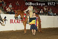 06buckeye_1972 thumbnail