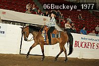 06buckeye_1977 thumbnail