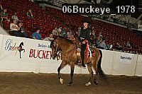 06buckeye_1978 thumbnail