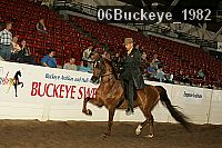 06buckeye_1982 thumbnail