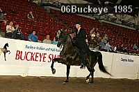 06buckeye_1985 thumbnail