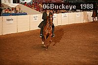 06buckeye_1988 thumbnail