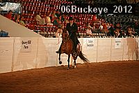 06buckeye_2012 thumbnail