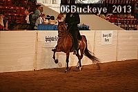 06buckeye_2013 thumbnail