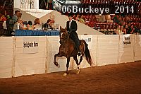 06buckeye_2014 thumbnail