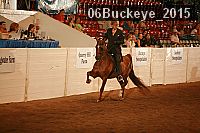 06buckeye_2015 thumbnail