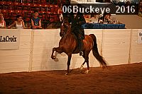 06buckeye_2016 thumbnail