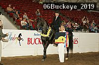 06buckeye_2019 thumbnail