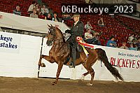 06buckeye_2023 thumbnail