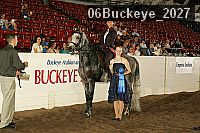 06buckeye_2027 thumbnail