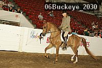 06buckeye_2030 thumbnail