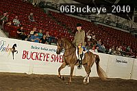 06buckeye_2040 thumbnail