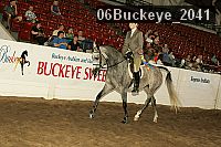 06buckeye_2041 thumbnail