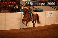 06buckeye_2060 thumbnail