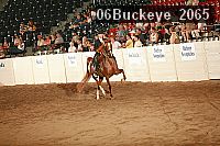 06buckeye_2065 thumbnail