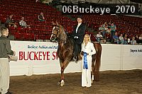 06buckeye_2070 thumbnail