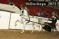 06buckeye_2073 thumbnail