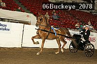 06buckeye_2078 thumbnail