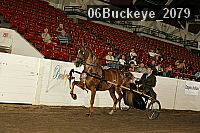 06buckeye_2079 thumbnail
