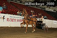 06buckeye_2080 thumbnail