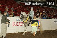 06buckeye_2104 thumbnail