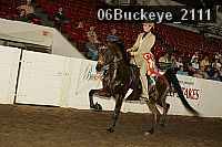 06buckeye_2111 thumbnail