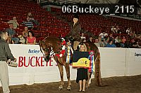 06buckeye_2115 thumbnail