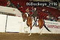 06buckeye_2116 thumbnail