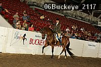 06buckeye_2117 thumbnail