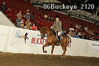 06buckeye_2120 thumbnail