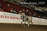 06buckeye_2121 thumbnail