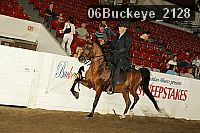 06buckeye_2128 thumbnail