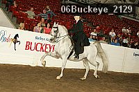 06buckeye_2129 thumbnail